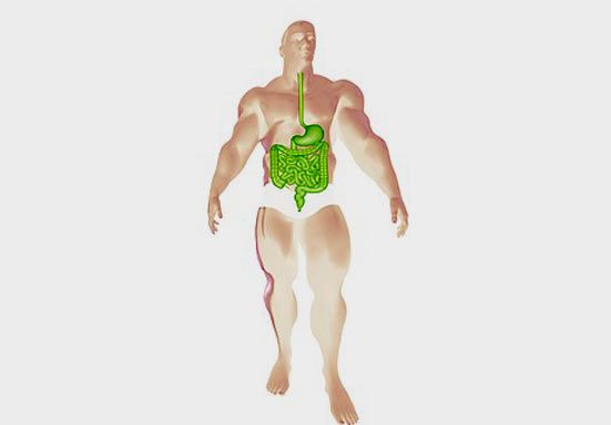 Terapie per la disbiosi intestinale